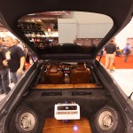 scion_trunk