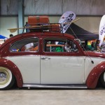 fitted_2014_beetles_2