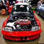 importfest-2014-mark-gentile-ef-5